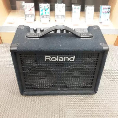 KC-220 30 Watt Battery Powered Stereo Keyboard Amplifier